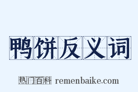鸭饼反义词是什么意思的图片